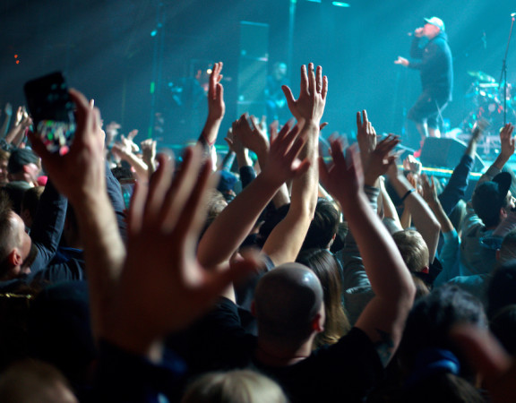 Fans of popular singer enjoying concert