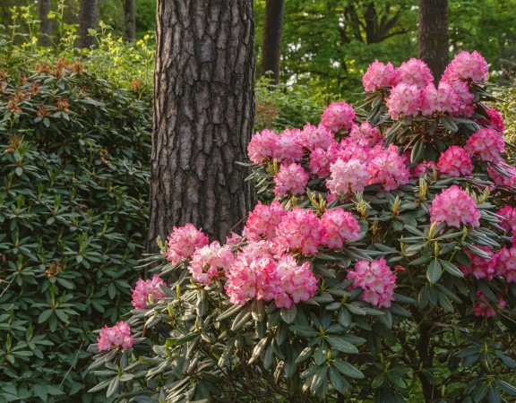 arboretum-szombathely-es-kornyeke